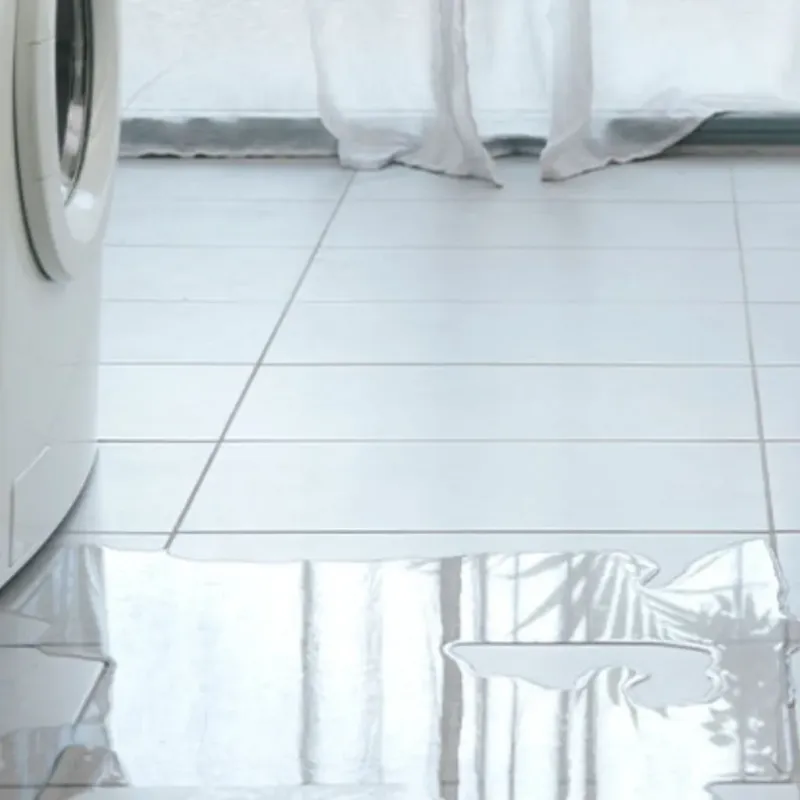 Appliance Leak Cleanup in Pacific County, WA